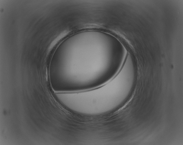 X0000074331317200608251010