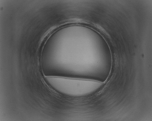 X0000074331318200608251010