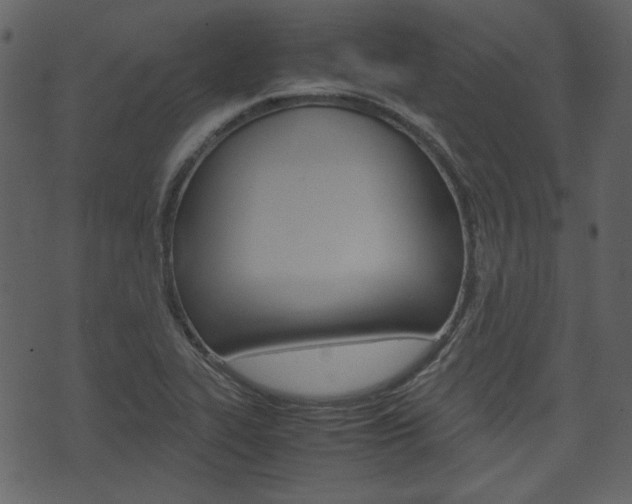 X0000074331319200608251010