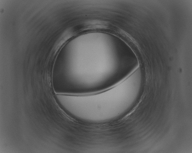 X0000074331321200608251010