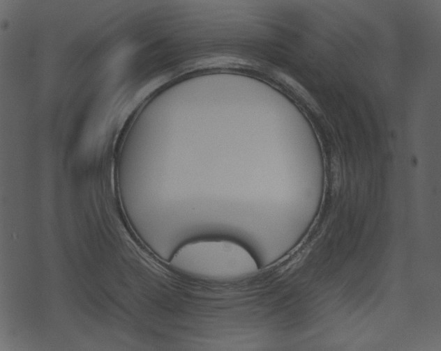X0000074331322200608251010