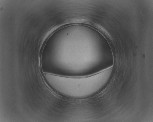 X0000074331324200608251010