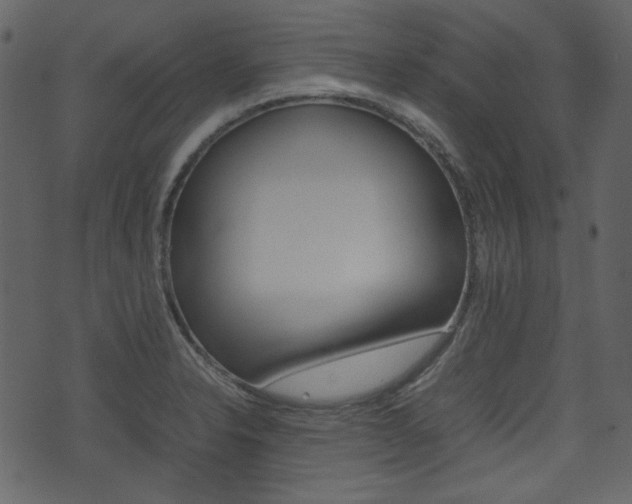 X0000074331326200608251010
