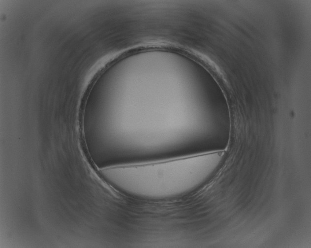 X0000074331327200608251010