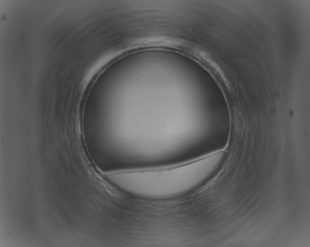 X0000074331328200608251010