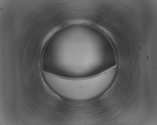 X0000074331330200608251010