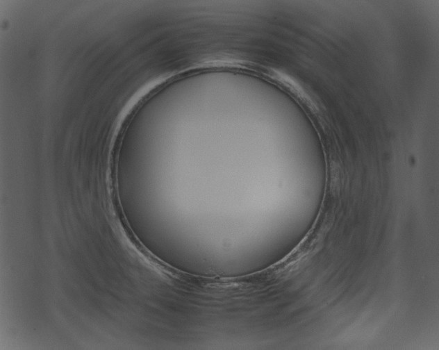 X0000074331331200608251010