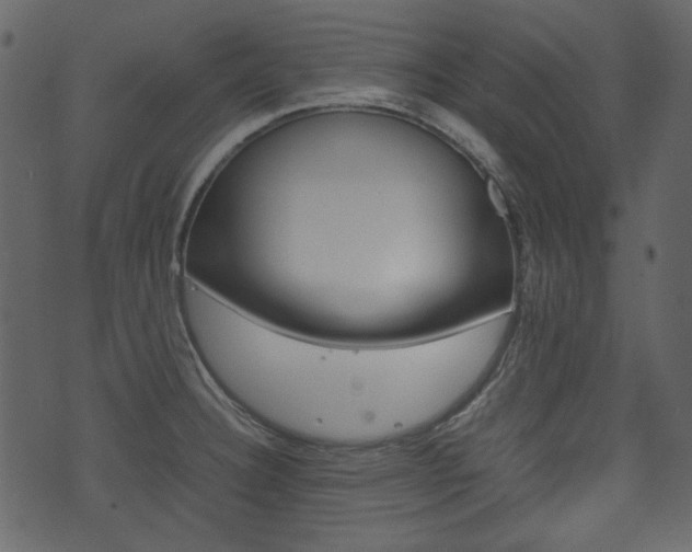 X0000074331332200608251010