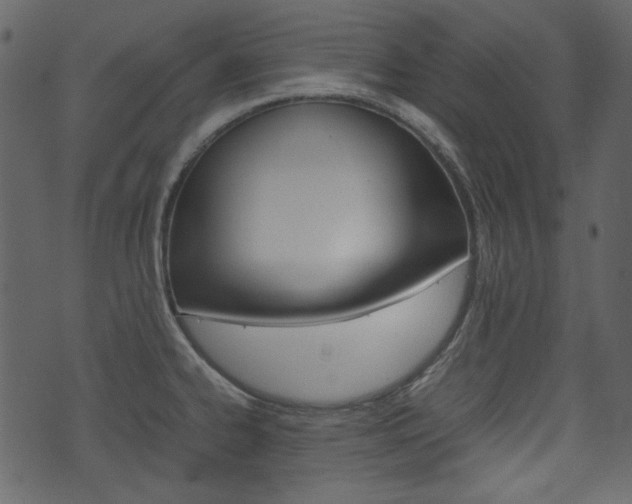 X0000074331334200608251010