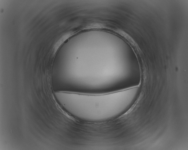 X0000074331337200608251011