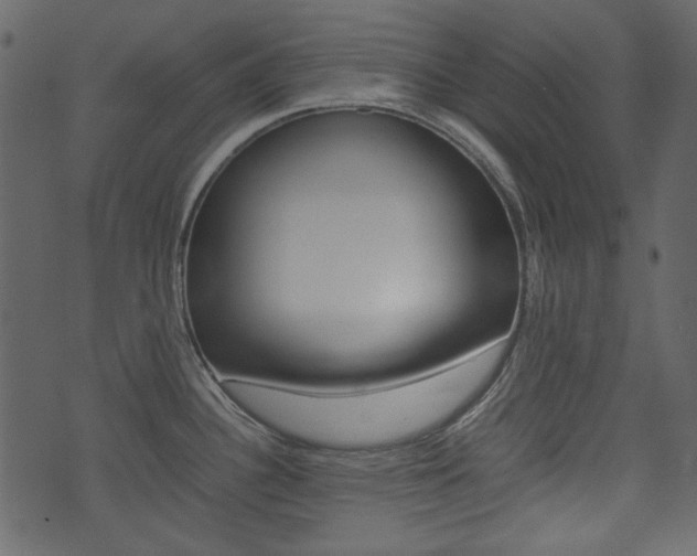 X0000074331340200608251011
