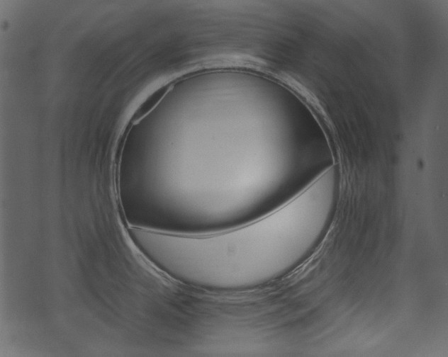 X0000074331342200608251011