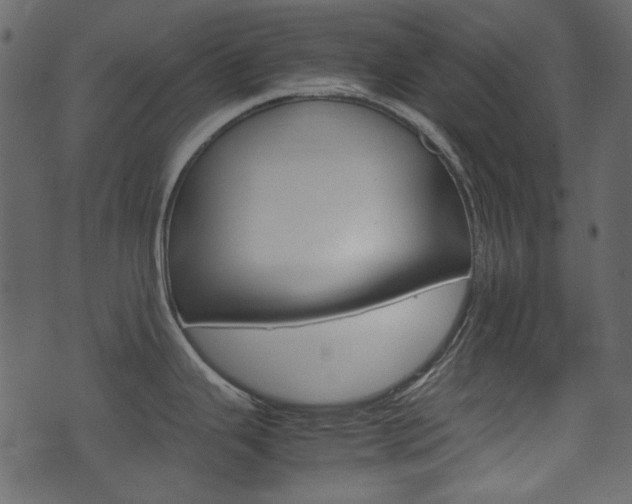 X0000074331343200608251011
