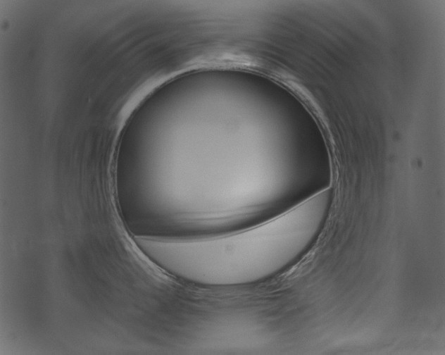 X0000074331344200608251011