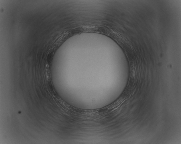 X0000074331346200608251010