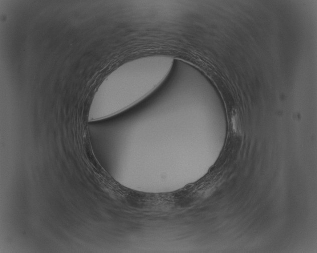 X0000074331347200608251010