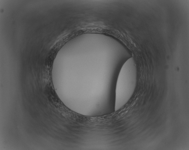 X0000074331350200608251010