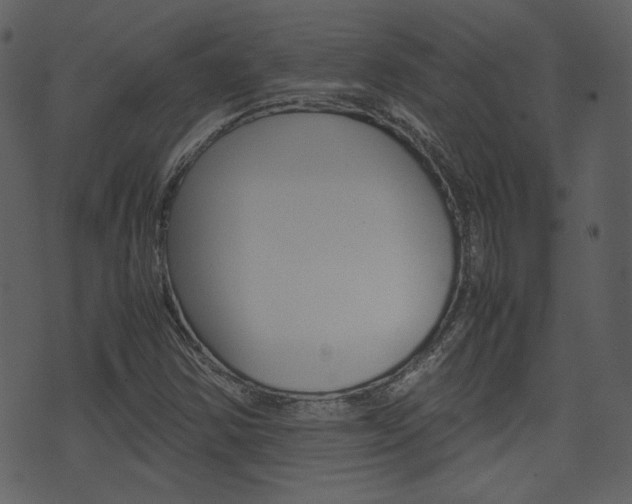 X0000074331354200608251010