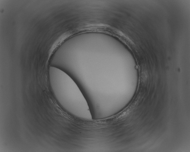 X0000074331362200608251010