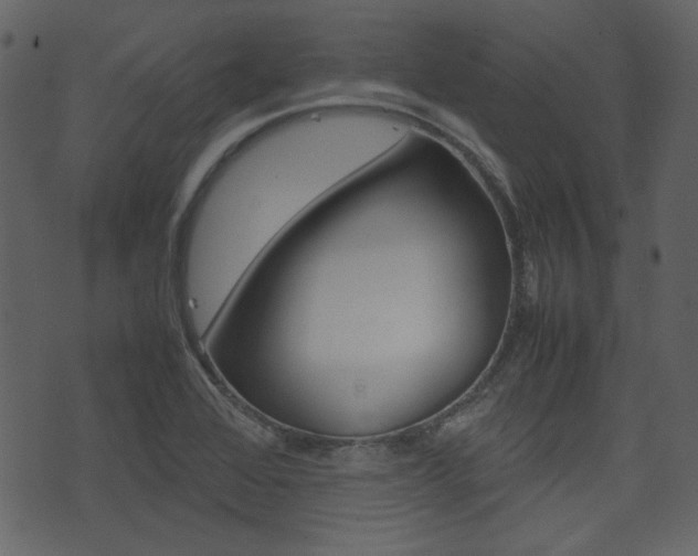 X0000074331368200608251010