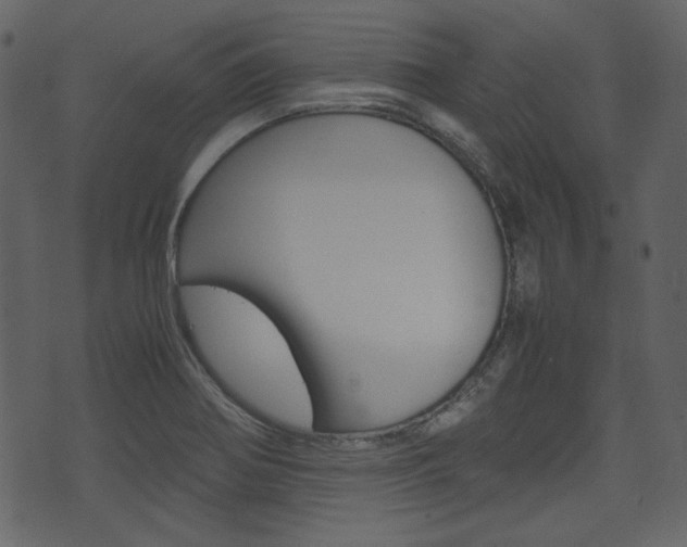 X0000074331370200608251009