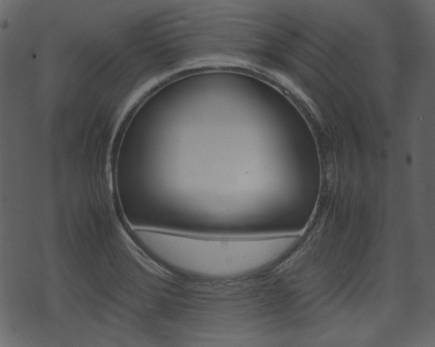 X0000074331372200608251009
