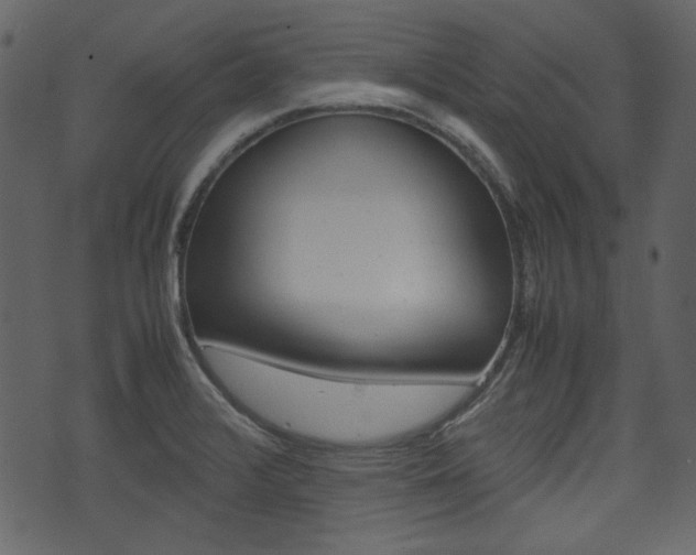 X0000074331376200608251009