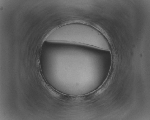 X0000074331377200608251009
