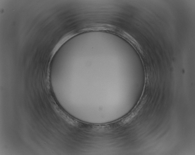 X0000074331378200608251009