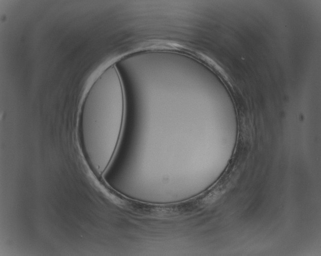 X0000074331379200608251009