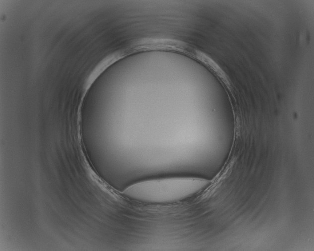 X0000074331386200608251009