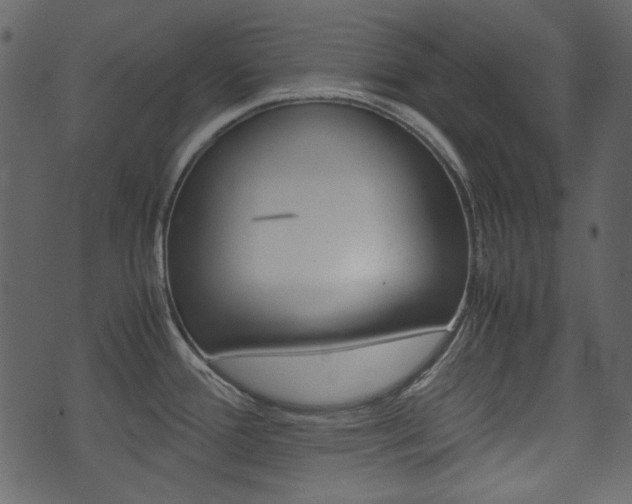 X0000074331388200608251009