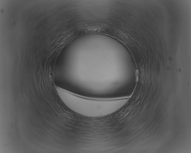 X0000074331394200608251008