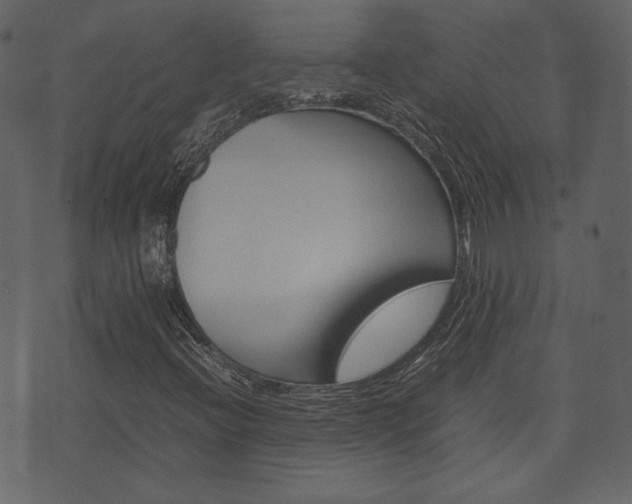 X0000074331396200608251008