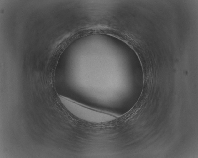 X0000074331398200608251008