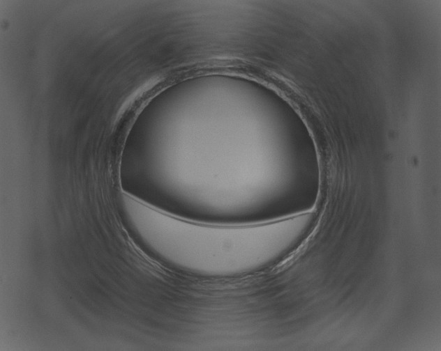 X0000074331402200608251008