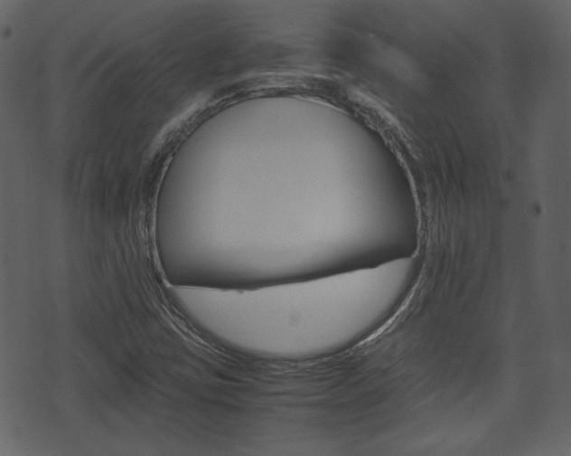 X0000074331403200608251008