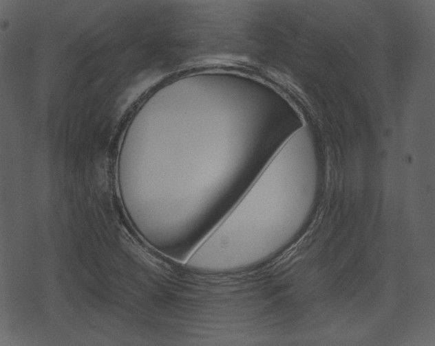 X0000074331404200608251009