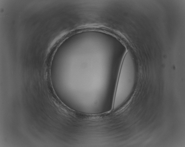X0000074331406200608251009