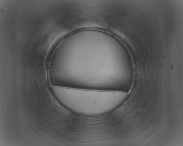X0000074331408200608251009