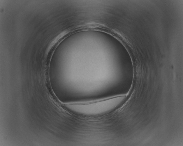 X0000074331410200608251009