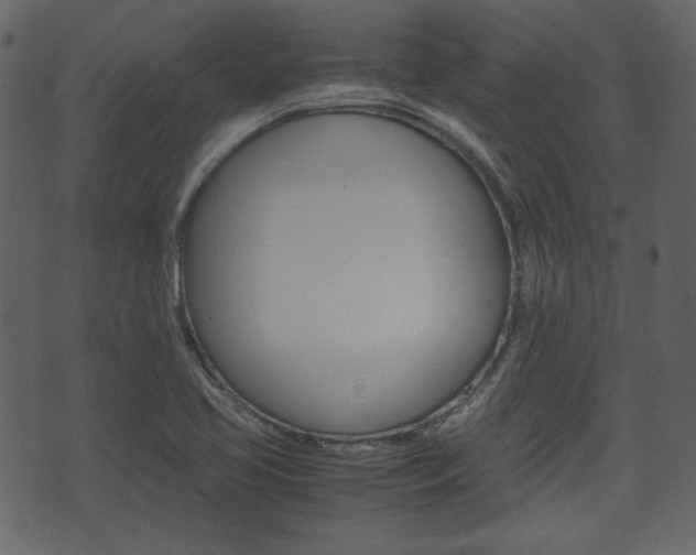 X0000074331413200608251009