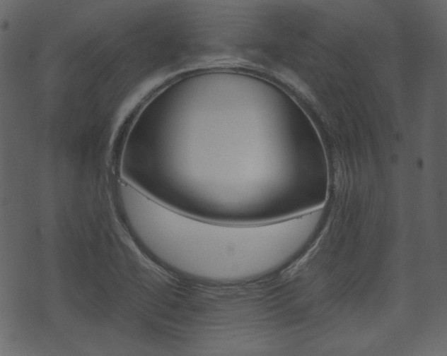 X0000074331414200608251009