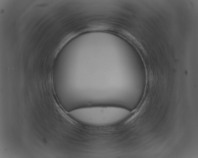 X0000074331417200608251009