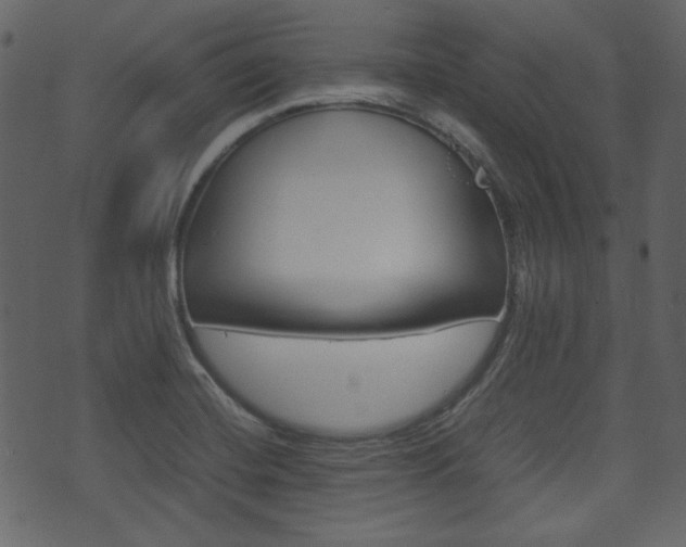 X0000074331420200608251009