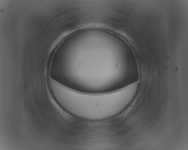 X0000074331422200608251009