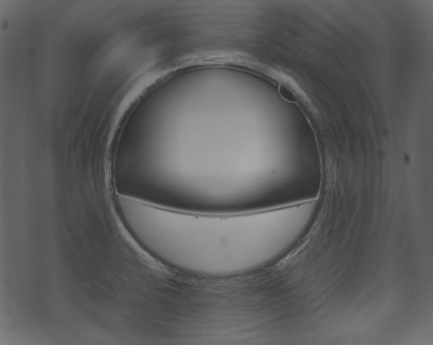 X0000074331424200608251009
