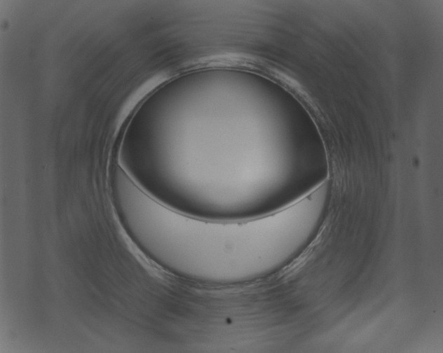 X0000074331426200608251009