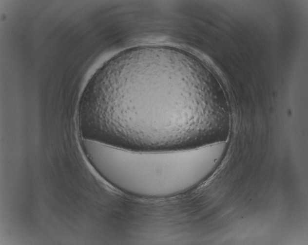 X0000074331432200608251009
