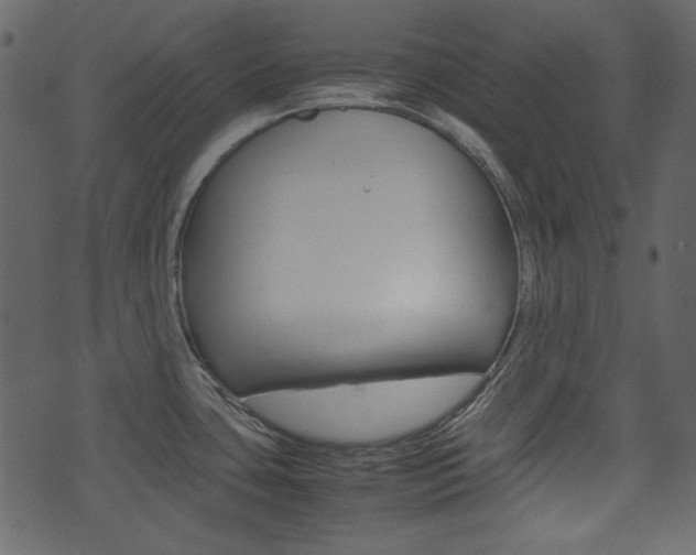 X0000074331435200608251009